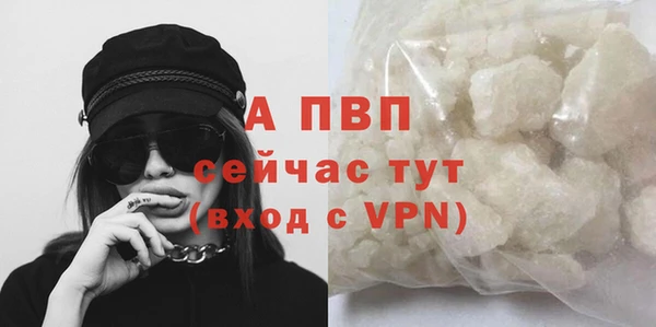 гашик Кукмор