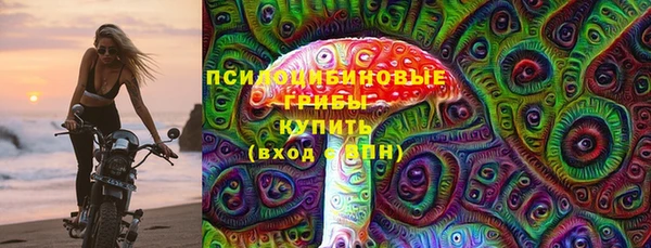 PSILOCYBIN Куйбышев