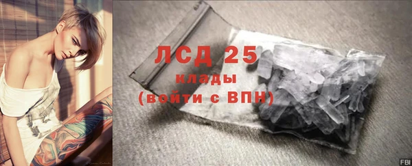 PSILOCYBIN Куйбышев